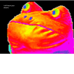 i got