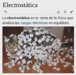 spellchck