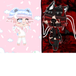 Osha na and Kawaii’s group
