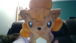 Team Anime Vulpix!!!