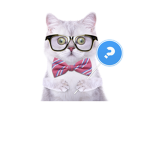 weird cat with glasses