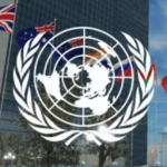 ・ Organisation des Nations Unies