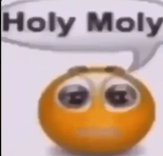 Holy Moly Studios