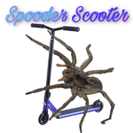 Scooter Spooder