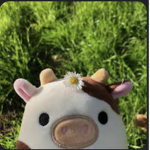 Squishy mallow