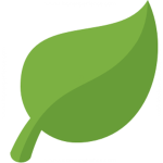 Green Leafy Studios