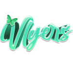 Vlyers Development