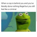 Maddddsss