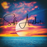 .* Soft Aesthetic *.