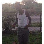 FNO shooter