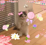 WispyFantasy