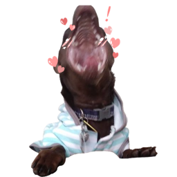 UwU