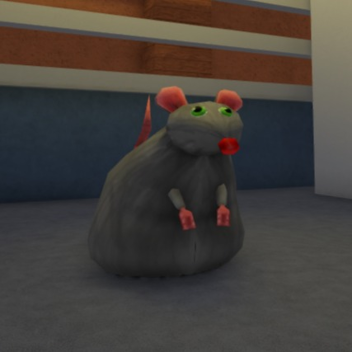 rat.