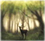 Lil deers :D