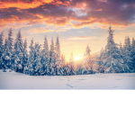 wintermornings
