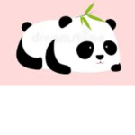 M panda squad