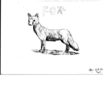 The Group of Foxes