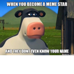 Cows only,,