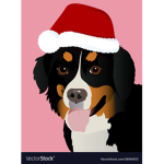 Gang doga santa