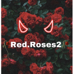 Red.Roses2