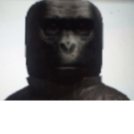 MONKEY Men/women Operations Never Kind Earthlings