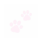 pinkipawz