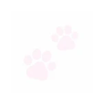 pinkipawz Group Thumbnail