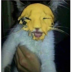 FunnySatireGames