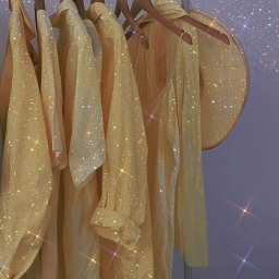 ✨