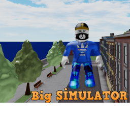 BİG Simulator
