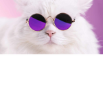 fgcvjvkctdxyjfbjgcxt7oufigvj