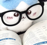 pawhlittl