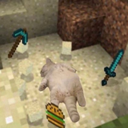 minecraft cat Roblox decal