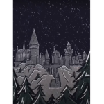 Harry Potter clothing and more!