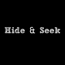 Hide and Seek