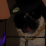 Pug gang members