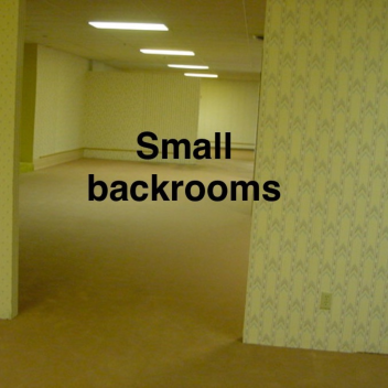 small backrooms
