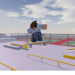 skate game