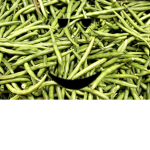 Green Bean Nation