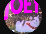 Joey ezz eldien