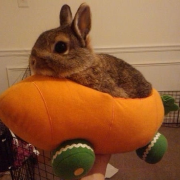 More detailed About Me section