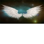 The Angel Shirt Wearing Club