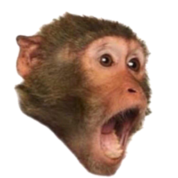 Monkey Run!