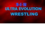 wwe 13 fans