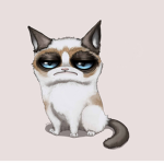 Team Grumpy Catz
