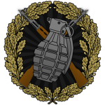 Shock Division 'Landstorm' of the SWR