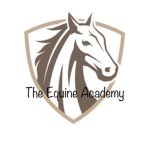 The Equine Academy