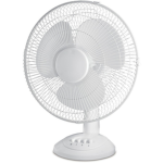 The Caleb B fans