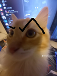 Dunnooooo