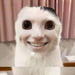 iN0irsweb